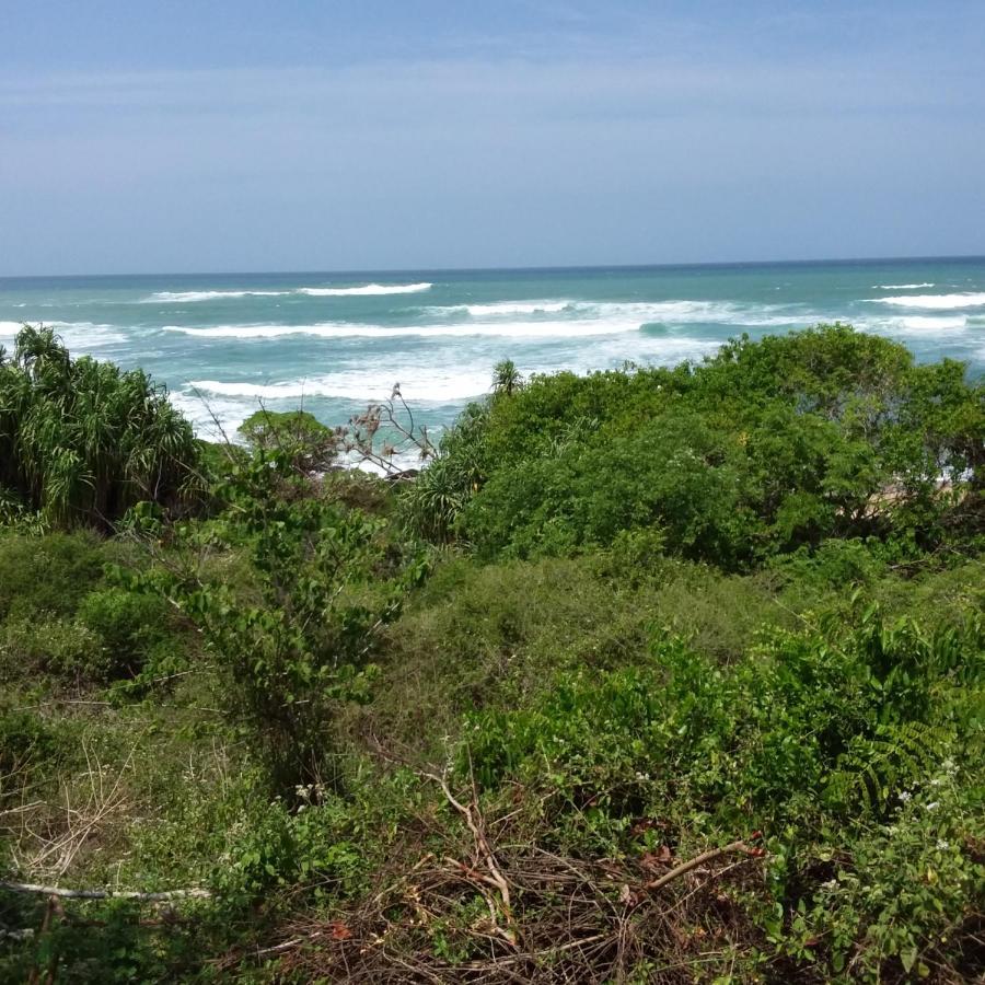 Pearl Cave Cabanas & Resturant Tangalle Exterior foto